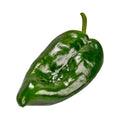 Poblano