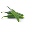 Serrano