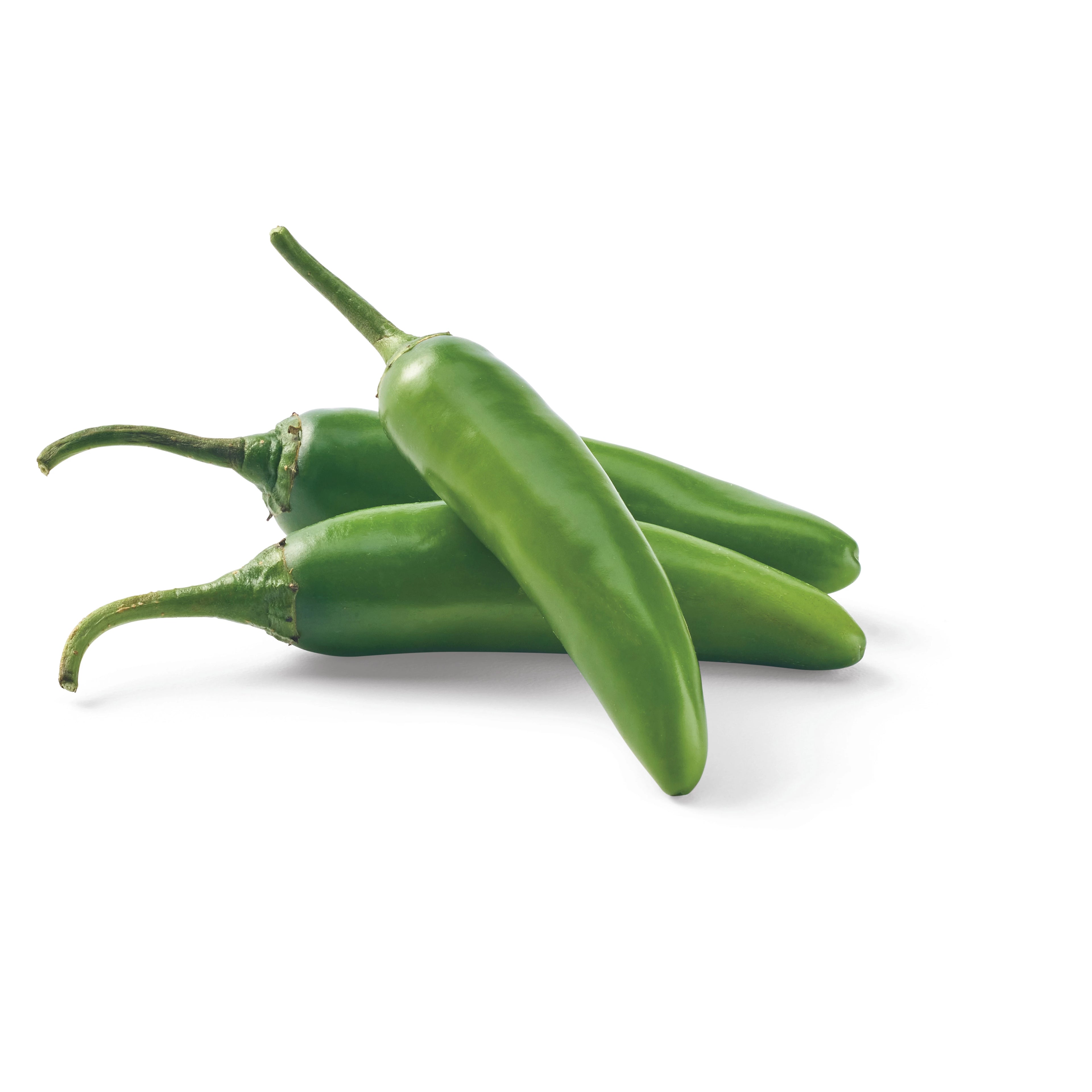 Serrano