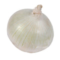White Onion