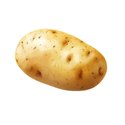 Potato