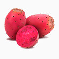 Tuna Roja (Red Prickly Pear)